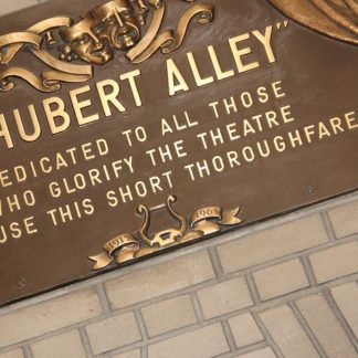 Skype Accent Lessons-Shubert's Alley