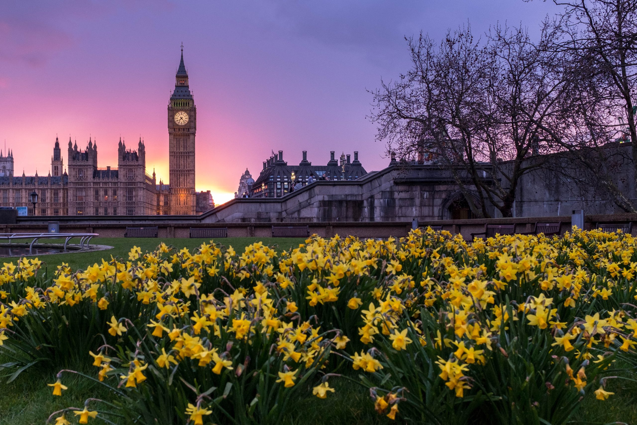 Learn British Isles Accents-Westminster